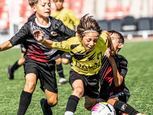 BCN Cup photo