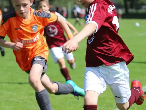 Copa Daurada photo