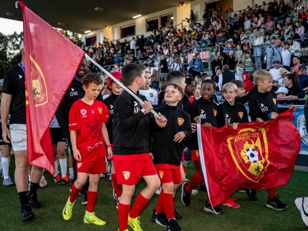 Sydney Int. Cup photo